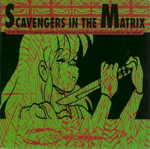Scavengers In The Matrix