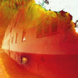 føkt mose