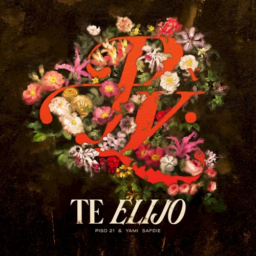 Te elijo