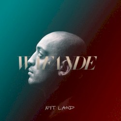 Nyt land
