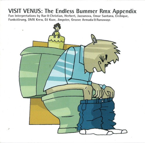 The Endless Bummer Remix Appendix