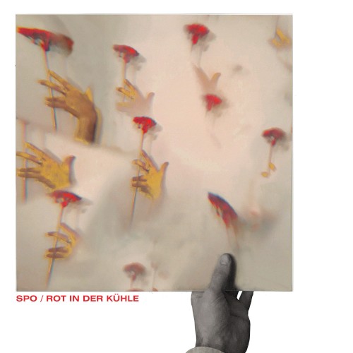 Rot in der Kühle