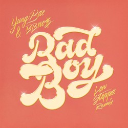 Bad Boy (Low Steppa remix)