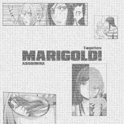 Marigold