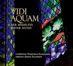 Vidi Aquam