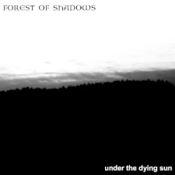 Under the Dying Sun