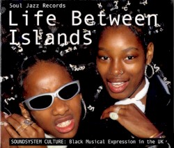 Life Between Islands - Soundsystem Culture: Black Musical Expression in the UK (1973 - 2006)