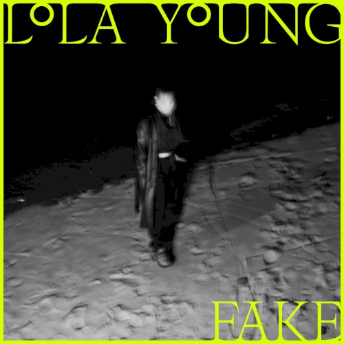FAKE