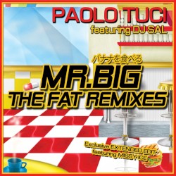 Mr. Big (The Fat Remixes)