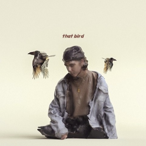 That Bird