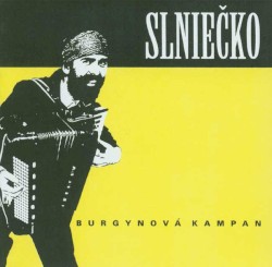 Burgynová kampan