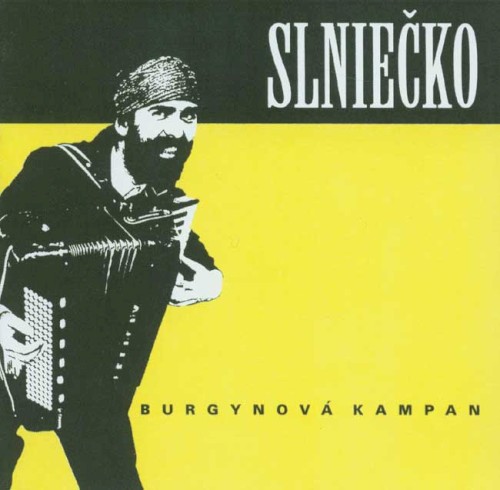 Burgynová kampan