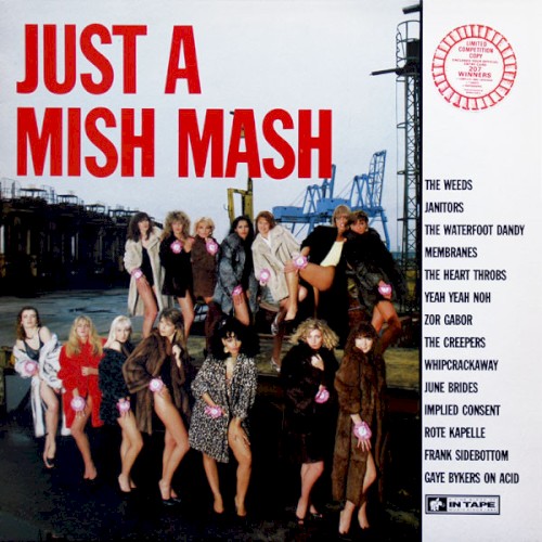 Just a Mish Mash