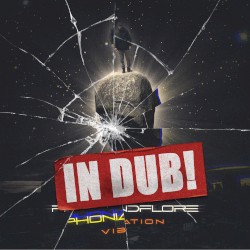 Vibration In Dub