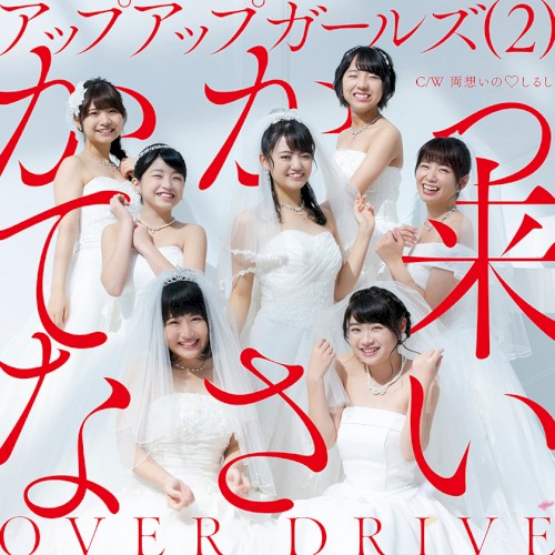 かかって来なさい／OVER DRIVE