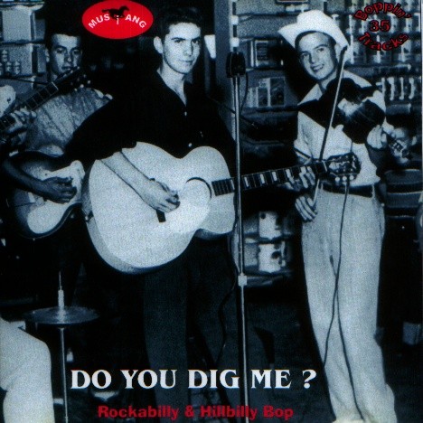 Rockabilly & Hillbilly Bop, Volume 08: Do You Dig Me ?
