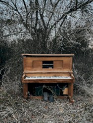 The Lost Isolacion Concert (April 15, 2020)