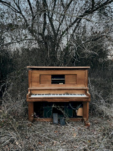 The Lost Isolacion Concert (April 15, 2020)