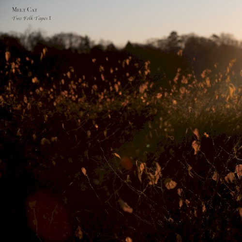 Two Folk Tapes Ⅰ
