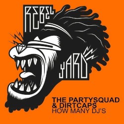 How Many DJ's