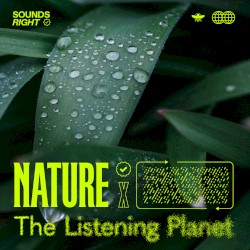Nature’s Rainfall Melodies