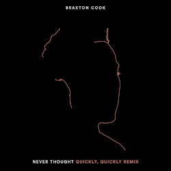 Never Thought (quickly, quickly remix)