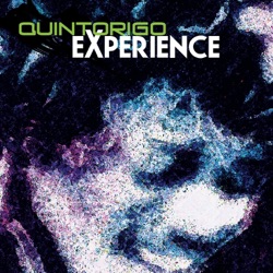 Experience