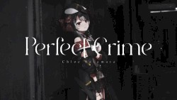 Perfect Crime