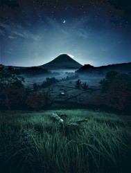 Embracing the Night