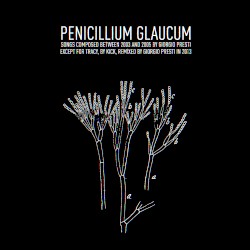 Penicillium Glaucum