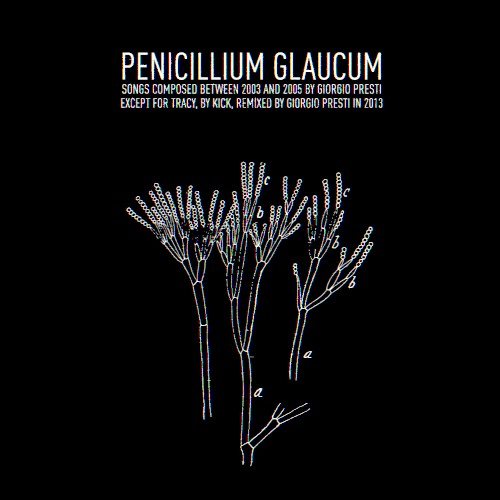 Penicillium Glaucum