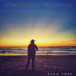 Something in the Orange