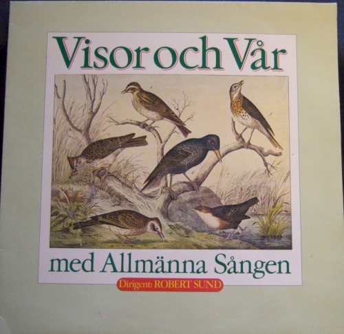 Visor och vår