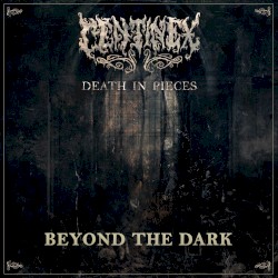Beyond the Dark
