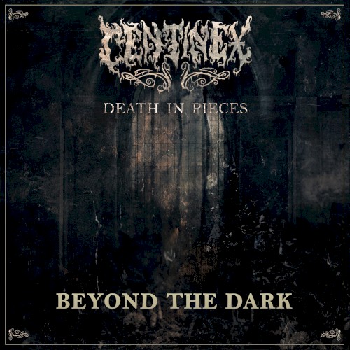 Beyond the Dark