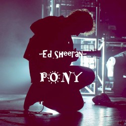 Pony (Single)