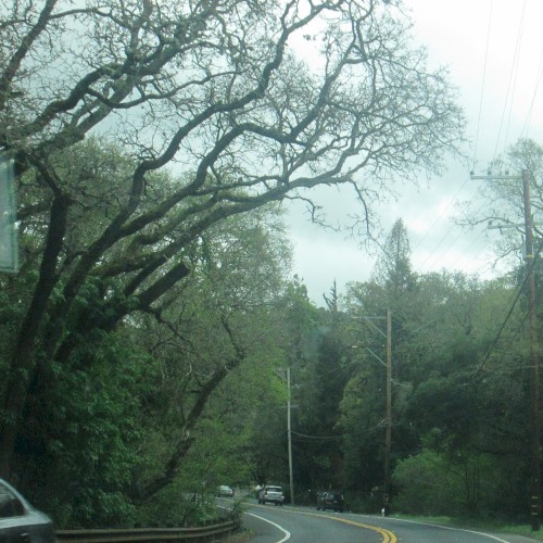 Moraga, CA