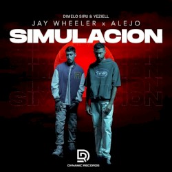 Simulación