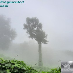 Fragmented Soul