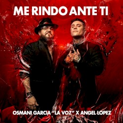 Me rindo ante ti