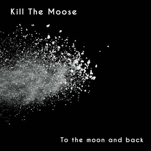 To The Moon And Back