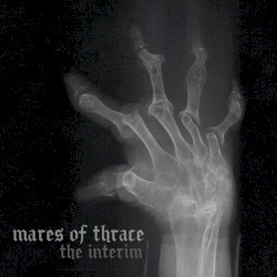 The Interim