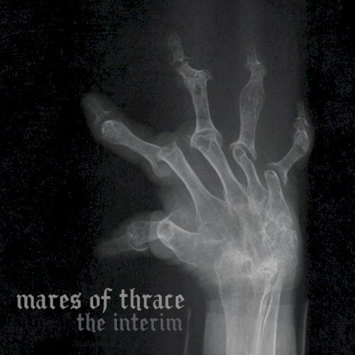 The Interim