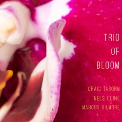 Trio of Bloom