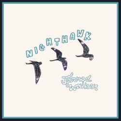 Nighthawk