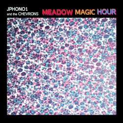 Meadow Magic Hour