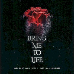 Bring Me To Life (Acoustic)