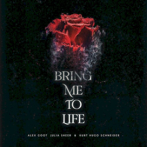 Bring Me To Life (Acoustic)