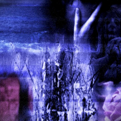 Born Into a World of Secrecy