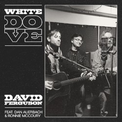 White Dove